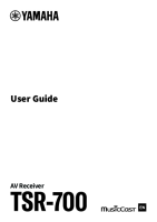 Yamaha TSR-700 - Owners manual